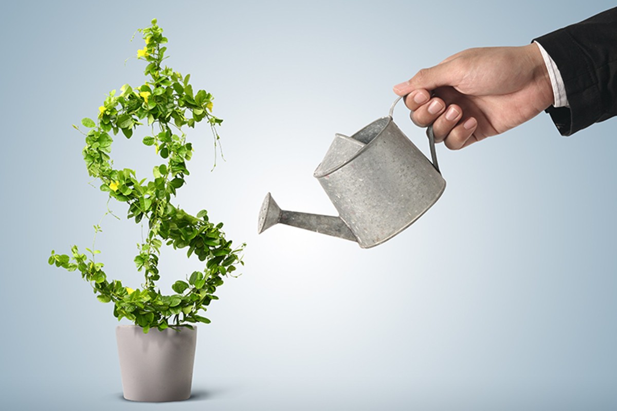 Profitability Profitability