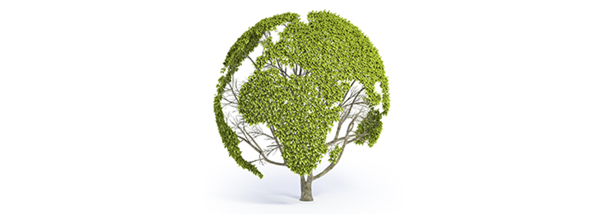 World Tree World Tree