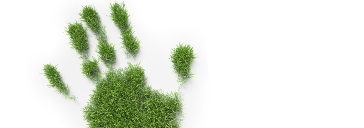 Green Hand Wide Green Hand Wide