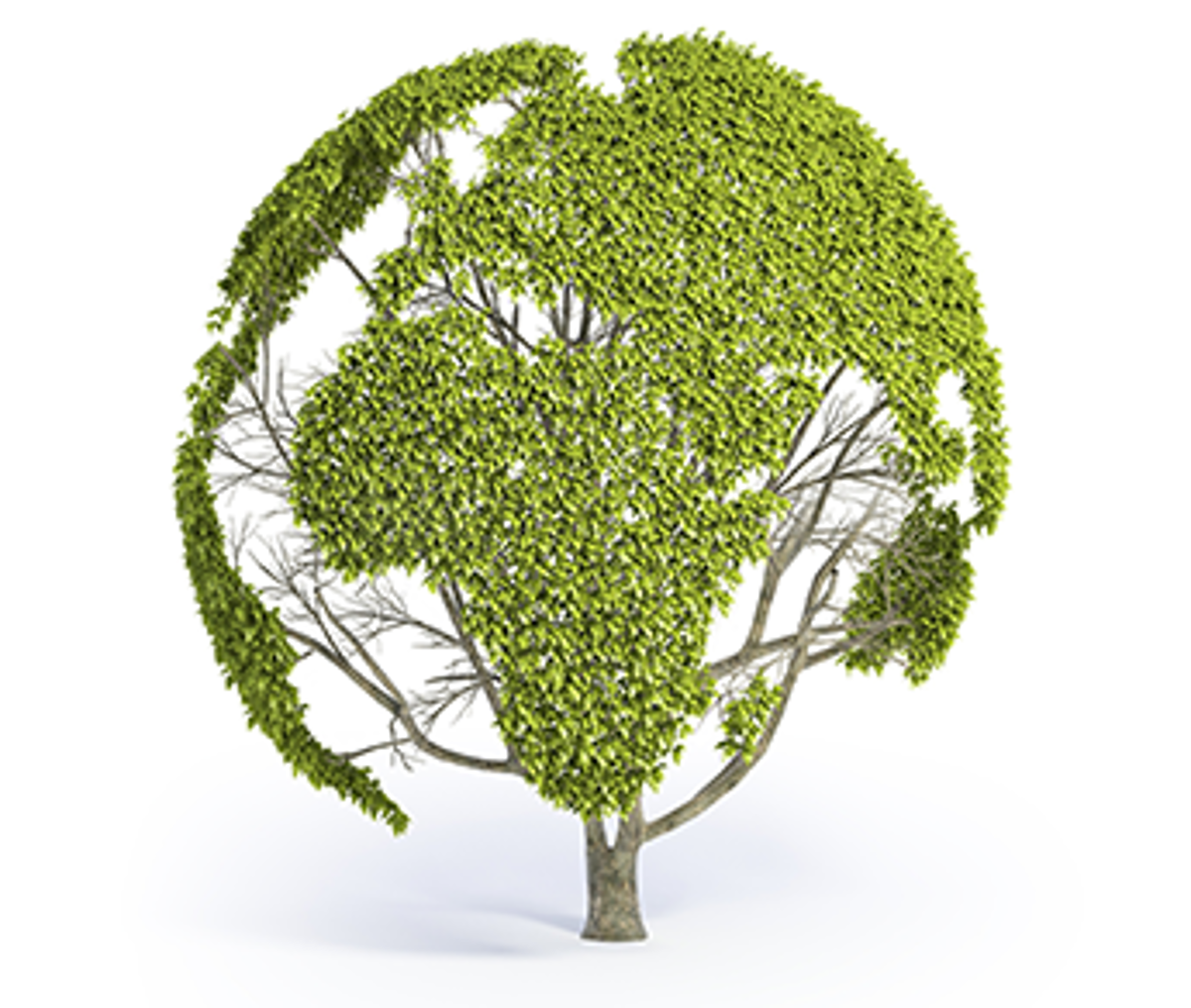 Environmental Consciousness_Wurth Industry of Canada